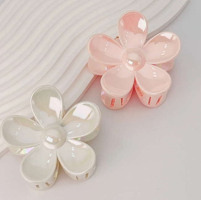 PINCE A CHEVEUX 2 PIECES