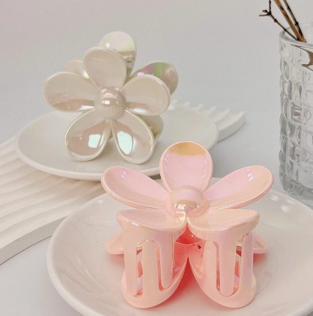 PINCE A CHEVEUX 2 PIECES