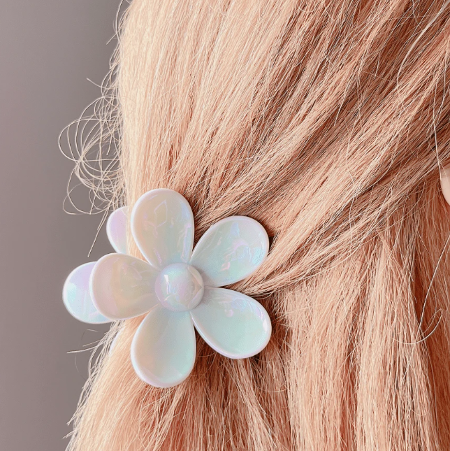 PINCE A CHEVEUX 2 PIECES